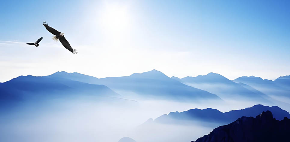 企业愿景